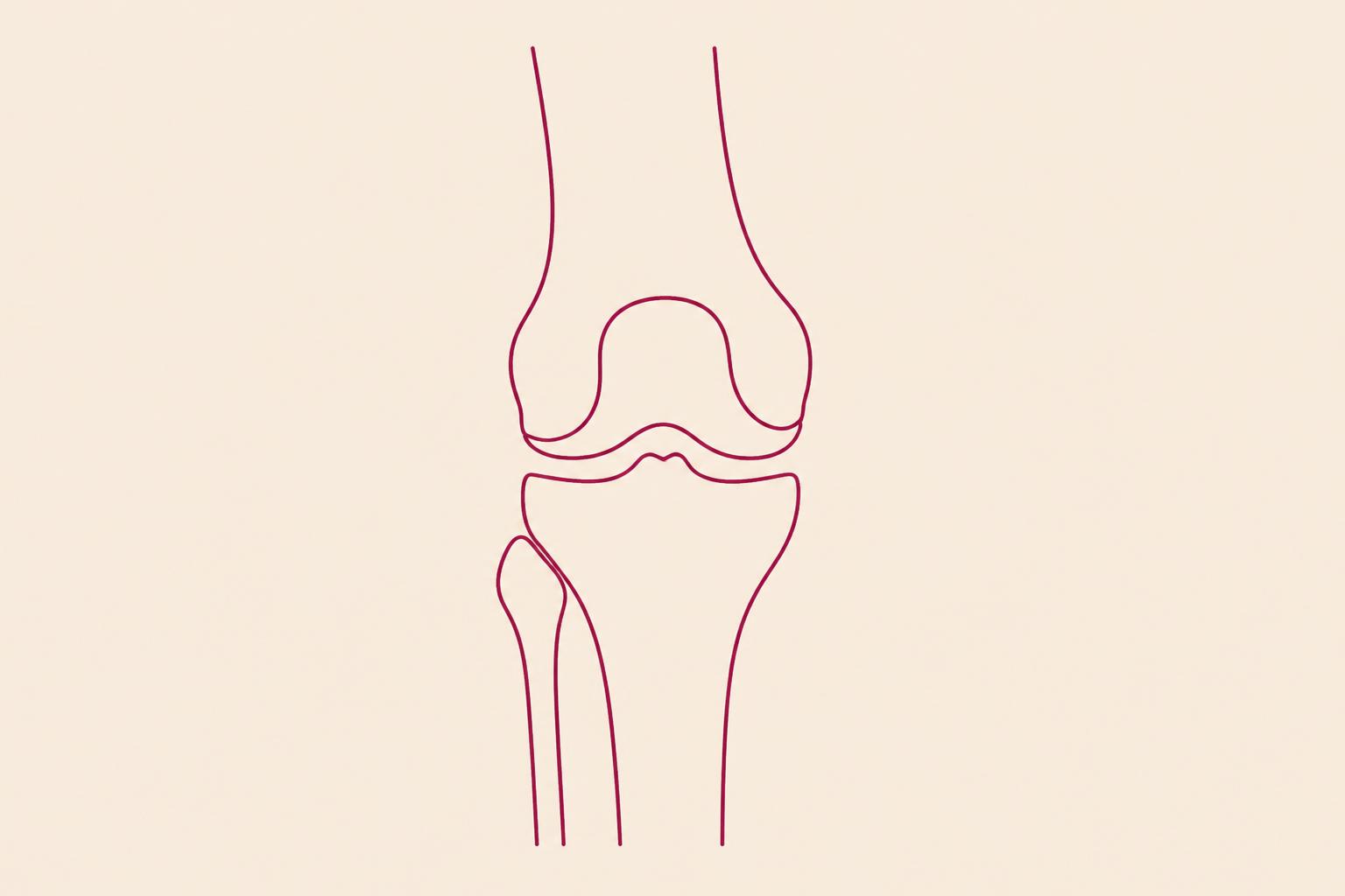 Therapie-Schwerpunkt Knie